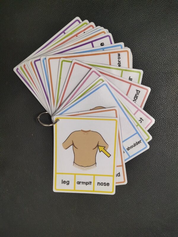Body Parts-Fun Activity for Kids - Image 3