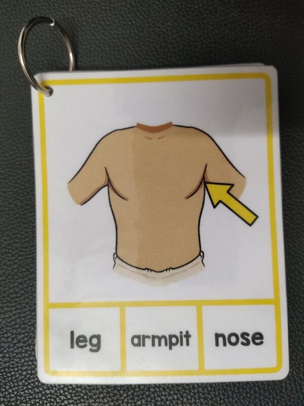 Body Parts-Fun Activity for Kids